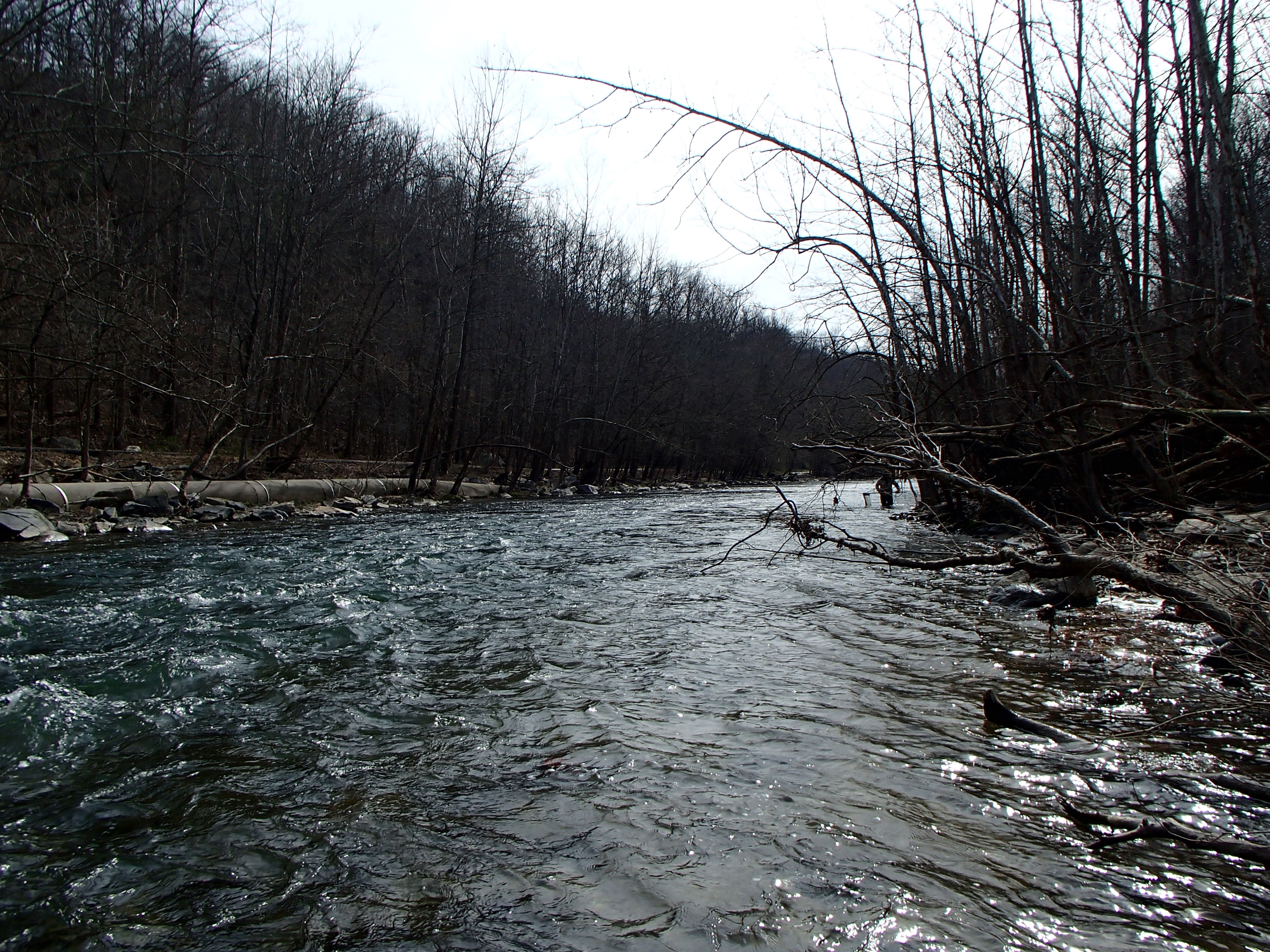Field photo showing stream conditions at site PATL-516-X-2016_midpoint looking downstream